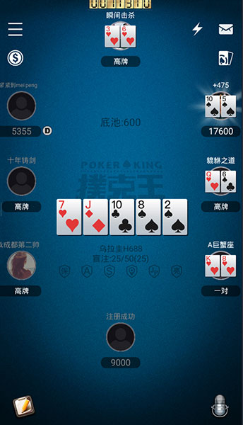 PokerKing Asia игровое поле